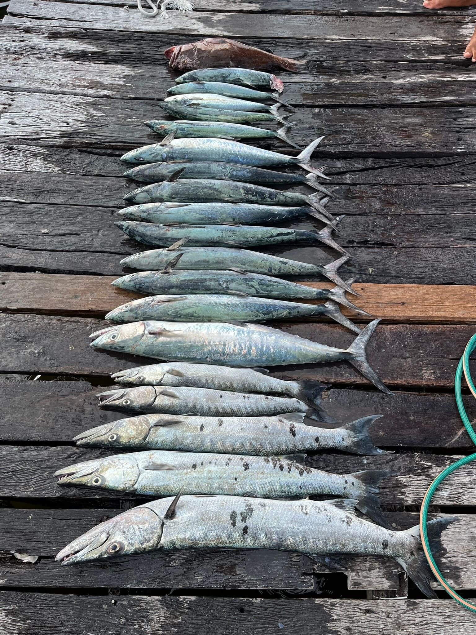 7bbf2cd1-7808-4e41-a847-419742bf335a