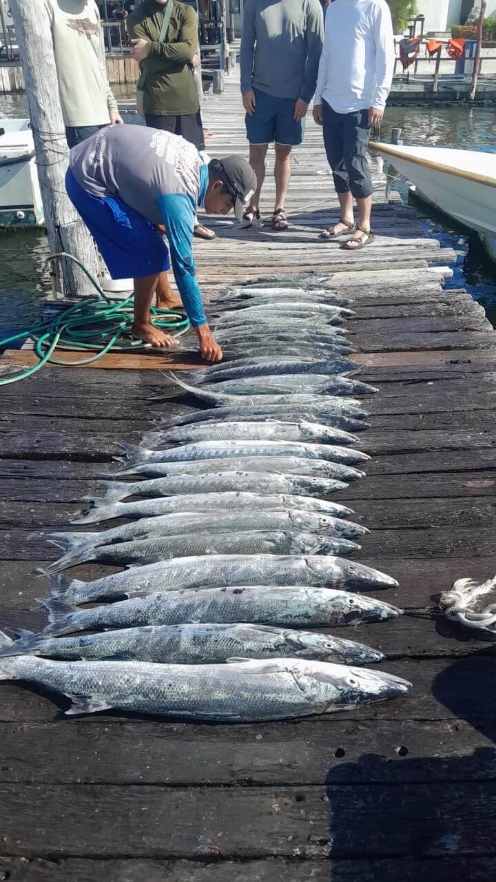 aa795d8c-6ebc-43af-8e4f-7395ec5a8f31